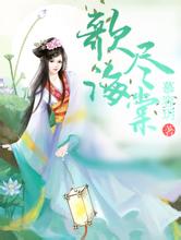 2004新澳门天天开好彩五台黑帽seo